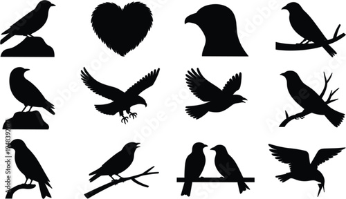 Comprehensive set of aircraft vector silhouettes featuring helicopters commercial airliners and military cargo planes for aviation and transport design.