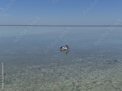 Wallpaper Mural Aerial View of Monkey Mia Dolphin Resort Beach, Jetties and Turquoise Water Along a Quiet Coastal Resort Village, Denham, Francois Peron NP, Shark Bay, Western Australia. Torontodigital.ca
