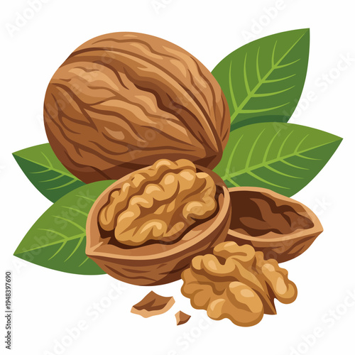 An artistic depiction of walnuts in their shells alongside fresh green leaves emphasizes culinary delights and the health benefits of this nutritious nut, enhancing dietary choices.