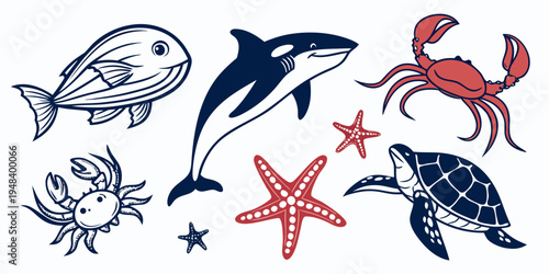 a collection of sea creatures including a fish dolphin crab turtle starfish and shrimp Vector