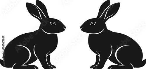 Two black rabbits sitting side by side facing each other white background