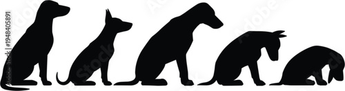 Set of black dog vector silhouettes featuring various breeds in sitting and resting poses for pet care animal welfare and veterinary design.