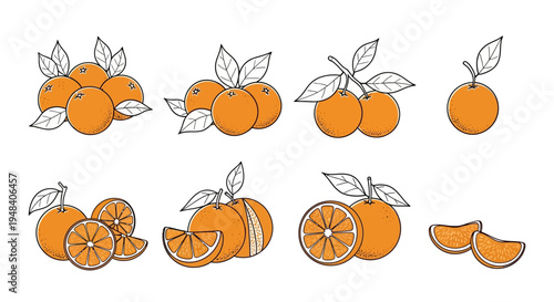 Collection of Ripe Orange Fruits with Leaves, Slices, and Halves, Isolated on White Background, Fresh Citrus Vector Illustration