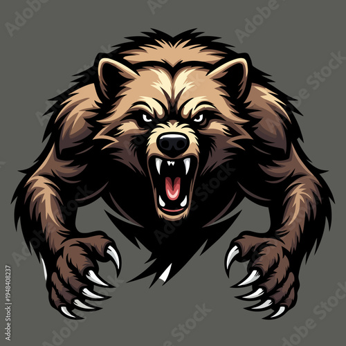 Vector angry bear illustration with sharp claws