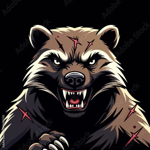 Vector angry raccoon face with red scratches