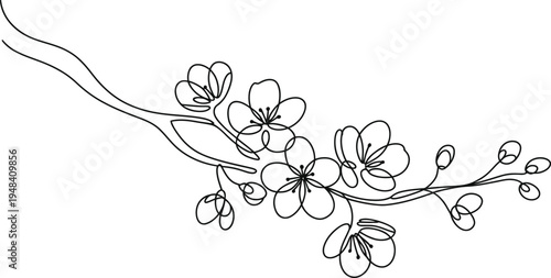 continuous single line drawing of cherry blossom branch with flowers and buds on white background