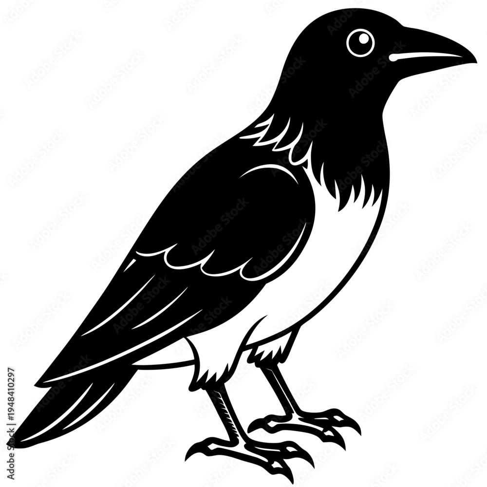 Fototapeta premium crow on a white background