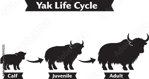 Life Cycle of a Yak Vector Silhouette Diagram