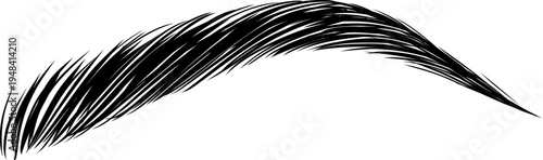 Arched Eyebrow Brows