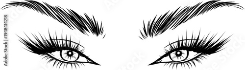 Eyes Eyelashes Eyebrows