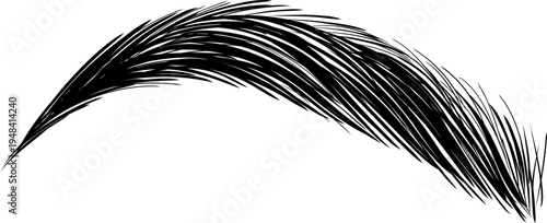 Eyebrow Female Woman Brow