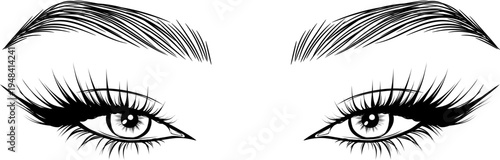 Woman Eyes Eyelashes Eyebrows