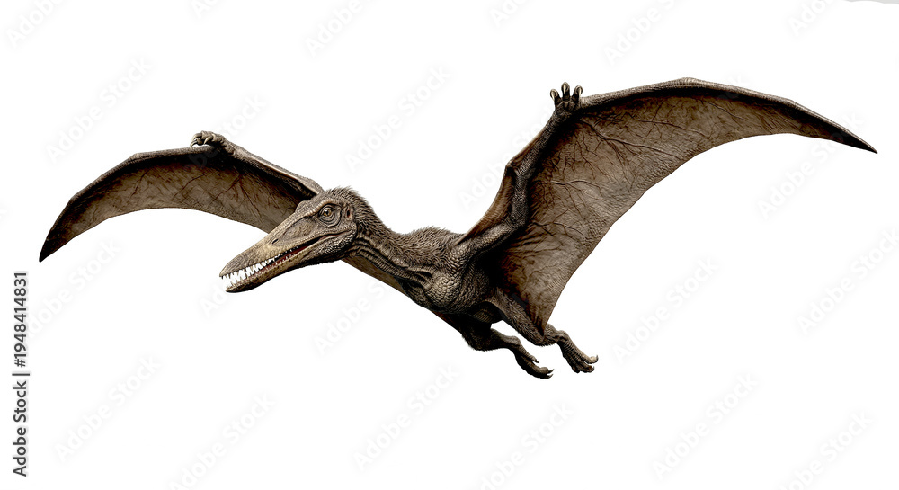Fototapeta premium A detailed 3d rendering of a prehistoric pteranodon soaring through the air with wings extended
