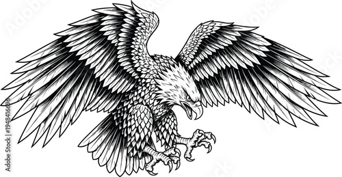 Eagle flight illustration, fierce bird artwork, heraldry vector design, bold graphic icon, black white freedom symbol