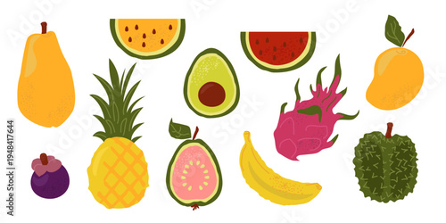 A set of colorful tropical fruits in a hand-drawn abstract style.