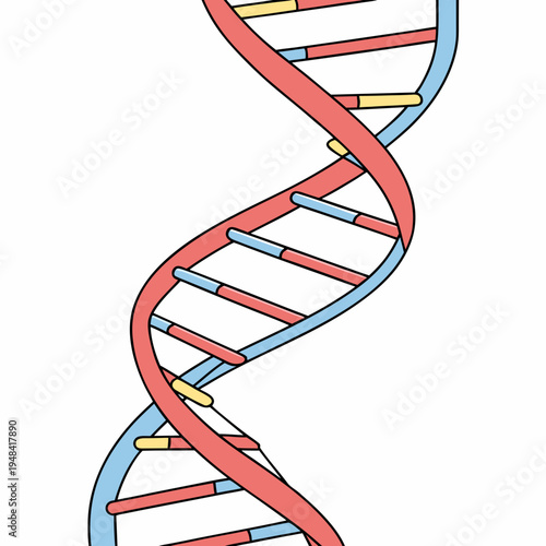 Dna double helix structure on white background molecule biology genetics