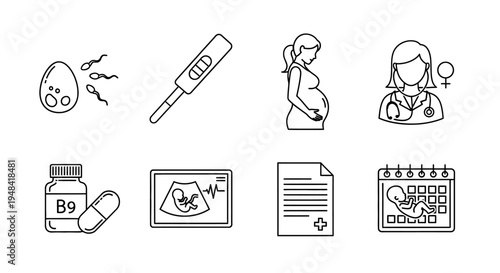 Line art icons illustrating the journey of pregnancy, covering fertility, conception, prenatal care, medical check-ups, ultrasound scans, and family planning