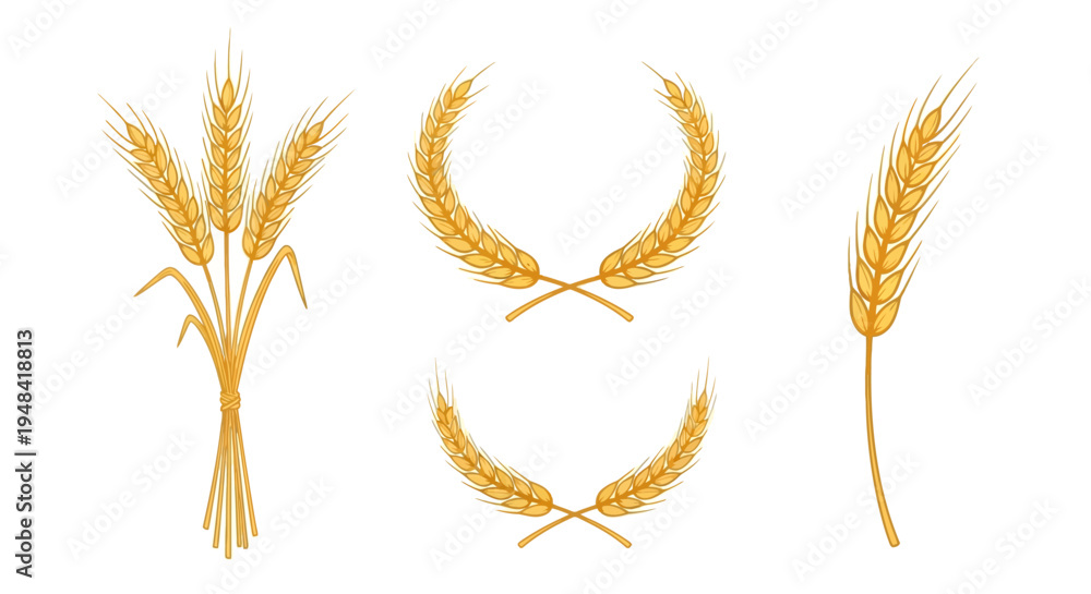Fototapeta premium Golden wheat vector illustrations featuring individual ears, a tied sheaf, and decorative laurel wreaths. Perfect for harvest, agriculture, food, and organic concepts