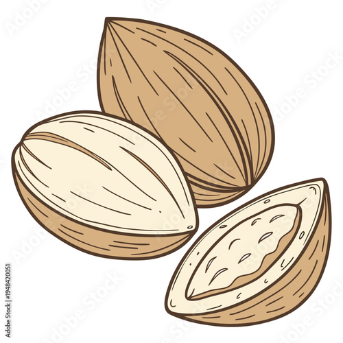Three walnuts with shells and one cut open brown beige