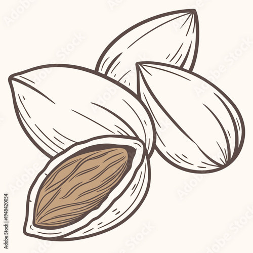 Of three almonds with one cracked open nuts shell brown