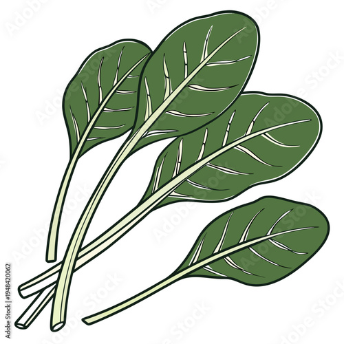 Green leaves on white background nature plant leafy greens