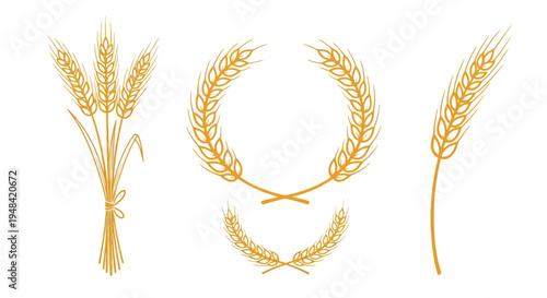Golden Wheat Ears, Grain Stalks, and Rustic Wreaths - A Rich Agricultural Harvest Collection for Bakery, Food, and Farming Design Concepts