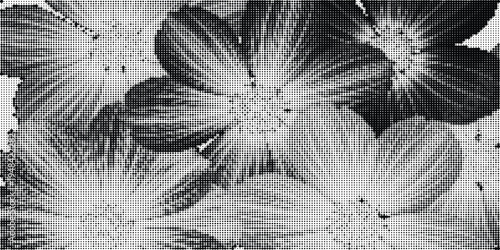 A high contrast black and white halftone print showing a stylized floral motif in a retro style Vector