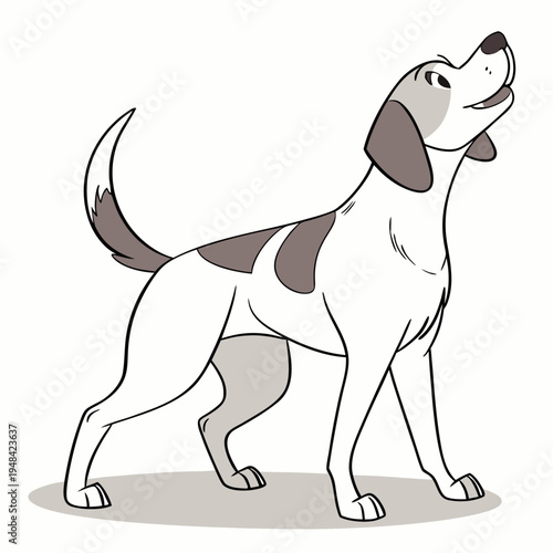 White dog with brown spots looking up isolated