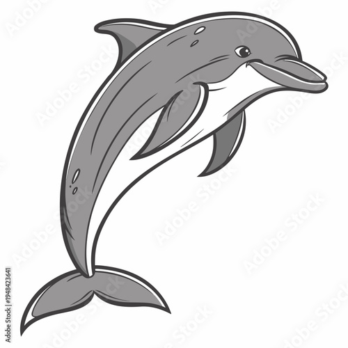 Gray dolphin jumping out of water with white belly and black outline jumping dolphin