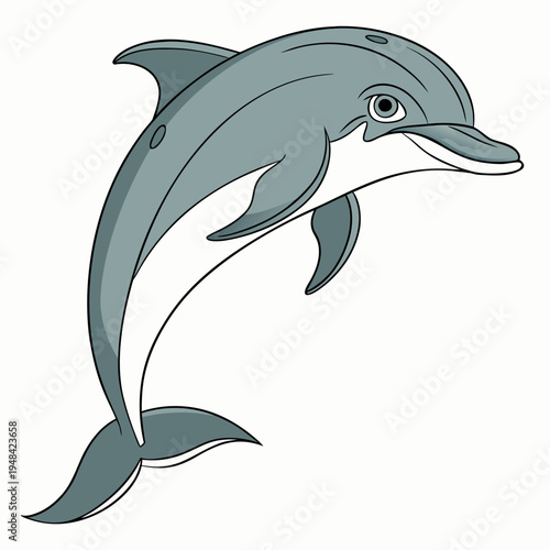 Blue dolphin jumping out of water with white belly and black outline jumping dolphin
