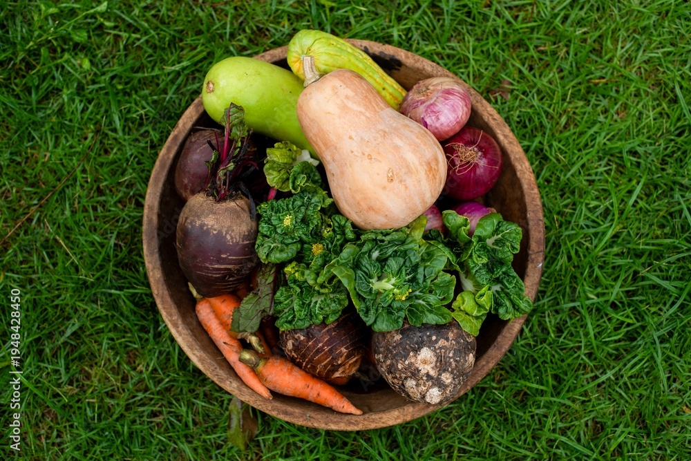 Fototapeta premium Fresh organic vegetables in bowl