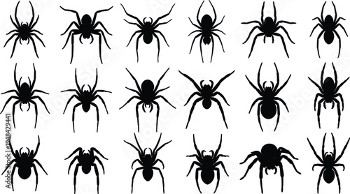 Black silhouette illustration of sixteen diverse spider designs arranged in grid pattern, showcasing variations in body shape, leg positions, and species diversity.