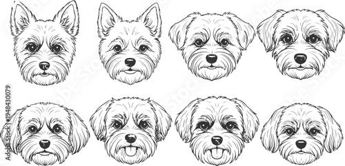 A detailed illustration of eight different dog faces with various expressions on a beige background