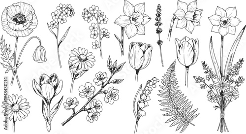 A beautiful black and white illustration of various flowers and plants on a plain background