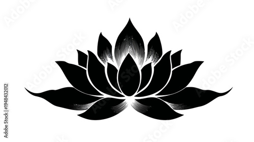 A symmetrical black lotus blossom graphic. Simple, striking illustration with delicate, textured detailing
