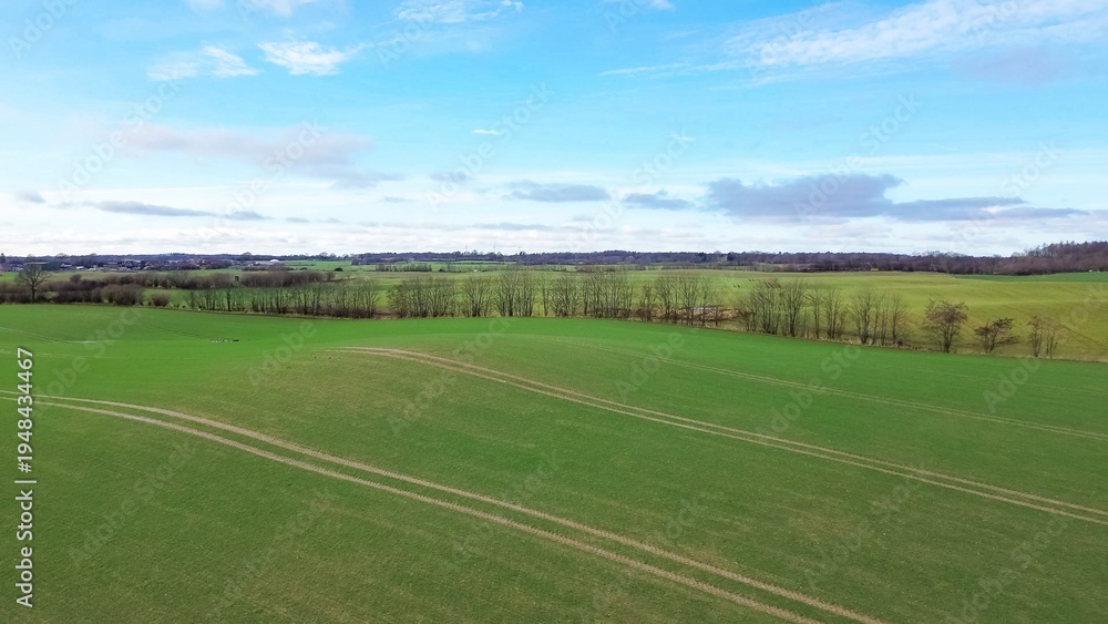 Fototapeta premium Green agricultural fields in rural Schleswig Holstein