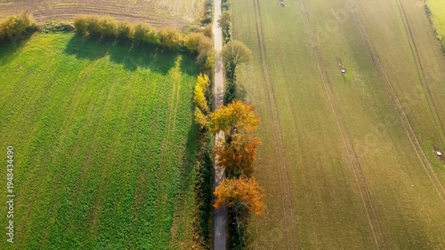 Rural road dividing green and autumn fields in Schleswig Holstein