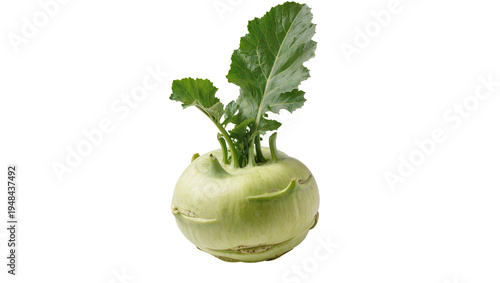 Photography Fresh green kohlrabi vegetable with vibrant leaves, isolated on transparent back