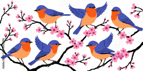 Small blue and orange birds are perched and flying near a blossoming cherry tree branch with pink flowers on a clean white backdrop