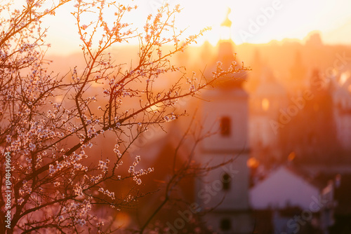 Selective focus on blooming trees with Prague historic city center skyline and towers in background during sunny morning. Seasonal travel destination, European architecture, and spring concept.