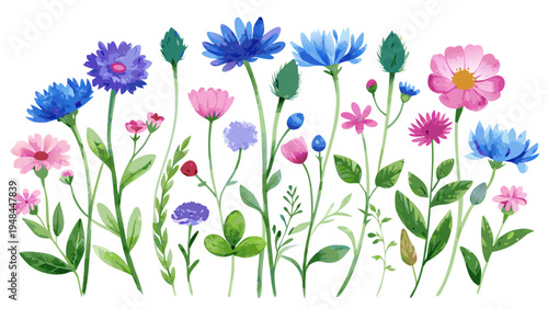 A set of watercolor wildflowers featuring blue cornflowers, pink cosmos, clover, and daisies, arranged in a row against a crisp white background, perfect for spring and nature themes.