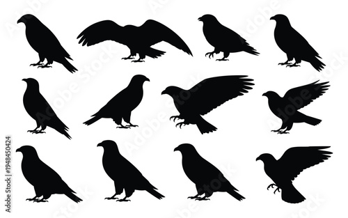 Eagle bird silhouette vector illustration, bold flying raptor design perfect for logo branding, wildlife art projects, emblem graphics, and modern minimalist design