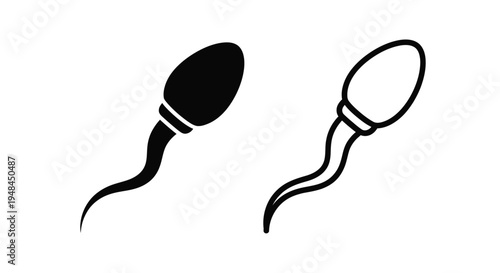 Simple black and white illustration of a human sperm cell