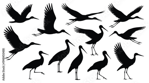 Stork silhouette vector illustration, elegant long legged bird in black wildlife style, perfect for nature, migration, wetland animal, and minimalist design projects