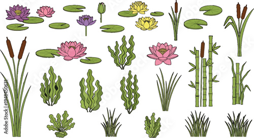 A vibrant assortment of hand-drawn aquatic plants including water lilies, reeds, and bamboo, perfect for nature-themed design projects and botanical illustrations