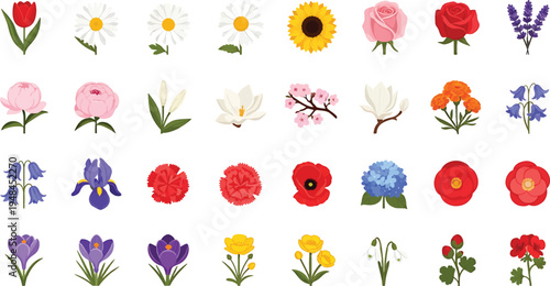 A vibrant collection of diverse and beautiful blooming flowers, showcasing nature's artistry in a variety of colors and shapes, perfect for floral design and decoration