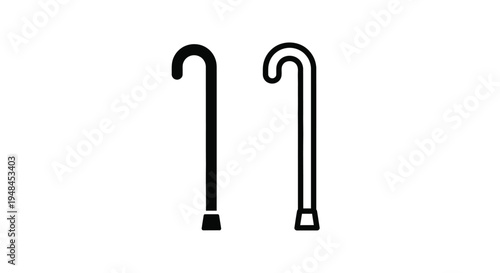 Two black walking canes are displayed on a plain white background