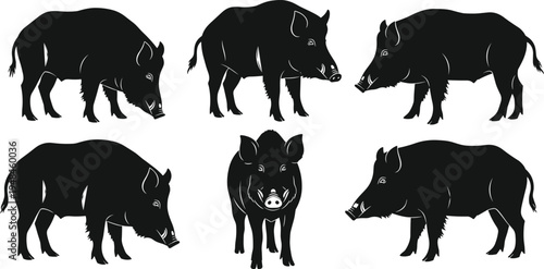 Wild boar silhouette collection, set of black forest hog icons, feral pig vector illustrations for hunting clubs and nature wildlife designs.