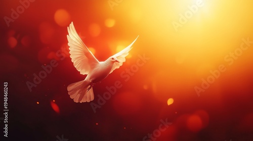 Bird Flying in Sunset Light With Glowing Background and Soft Colors