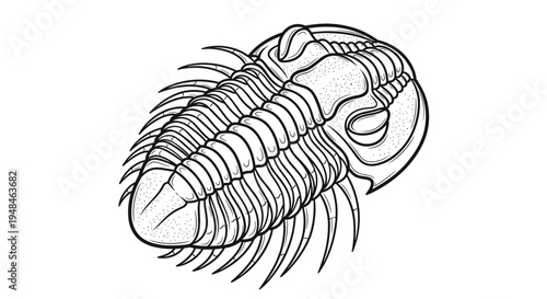 Intricate black and white outline illustration of a trilobite fossil, highlighting its segmented body and ancient arthropod structure.